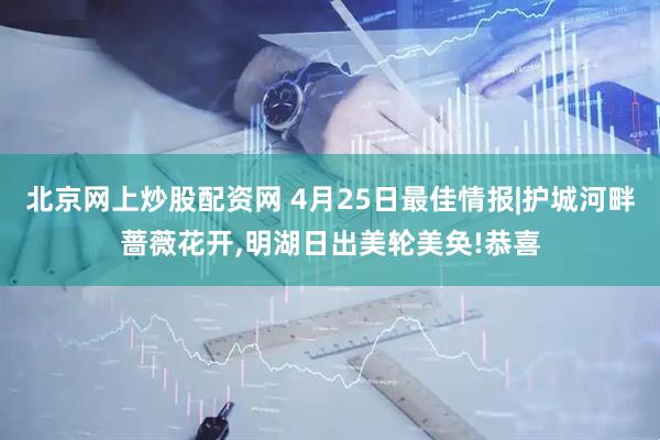 北京网上炒股配资网 4月25日最佳情报|护城河畔蔷薇花开,明湖日出美轮美奂!恭喜